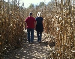 Corn stalks flank a couple who walk away hand in hand