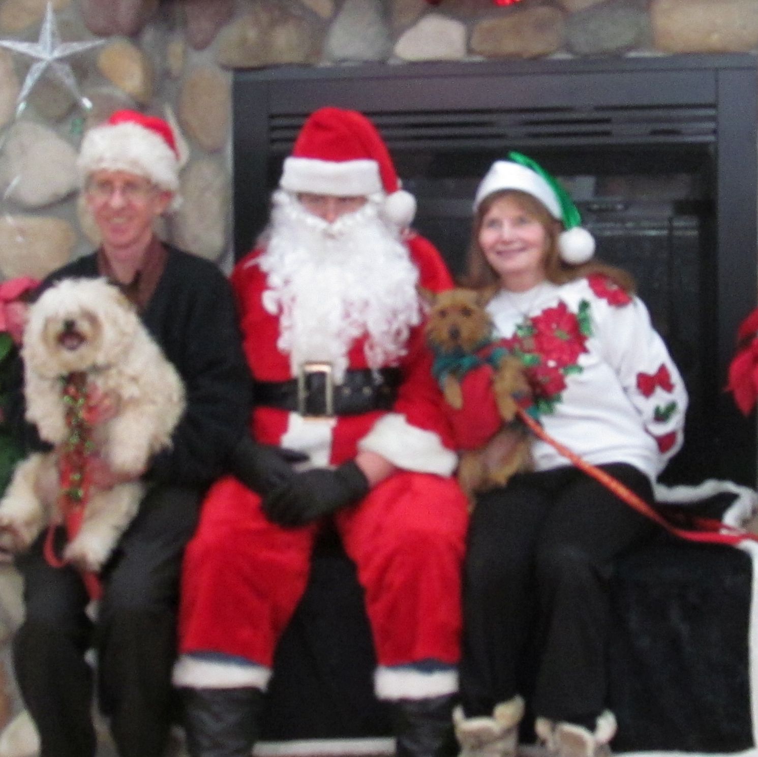 A couple sit with their pets next to Santa in front of fireplace