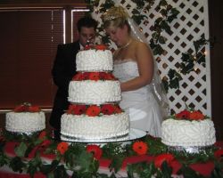 A huge wedding cake dwarfs bride and groom